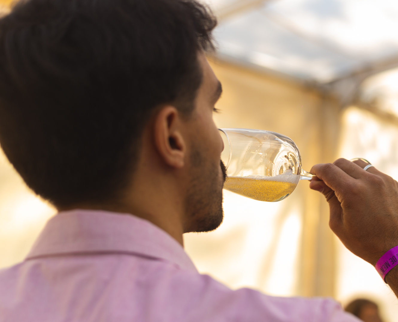 curso de degustacion
